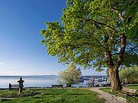 Thomaplatz am Starnberger See in morning light, Tutzing, Bavaria, Germany [IBR125030504]
