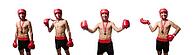 Funny boxer isolated on the white [IBR125053184]