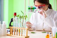 Beautiful female biotechnology scientist chemist working in lab [IBR125062207]