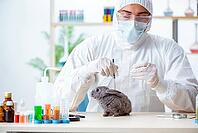 Vet doctor checking up rabbit in his clinic [IBR125062214]