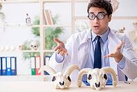 Funny crazy professor studying animal skeletons [IBR125062258]
