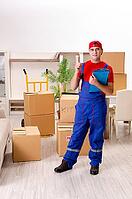 Young contractor with boxes working indoors [IBR125141733]