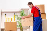 Young contractor with boxes working indoors [IBR125141759]