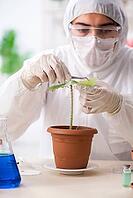 Biotechnology chemist working in lab [IBR125141766]