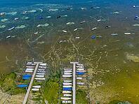 Drought on Lake Constance. The marina of Mannenbach-Salenstein in the canton of Thurgau is almost completely dry. aerial view. Boats are moored on a buoy in front of the boat docks. The lake bed is clearly visible. Mannenbach-Salenstein, Canton of Thurgau [IBR125163338]