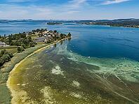 Reichenau island in Lake Constance with St. Peter and Paul church. The water level of Lake Constance is currently low for the time of year.//12.07.2026, Reichenau, Baden-Württemberg, Germany [IBR125163344]