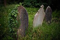 Weathered graves, headstones, ivy, municipal cemetery, Falmouth, Cornwall, England, Great Britain, Great Britain [IBR125163353]