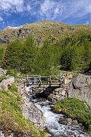 Wooden bridge over mountain stream, Torrente di Val Campaccio, climb to Lake Campaccio, Monte, Valdisotto, Sondrio, Italy [IBR125163403]