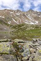 Lake Campaccio with alpine roses (Rhododendron ferrugineum), mountain lake, Valdisotto, Sondrio, Italy [IBR125163411]