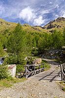 Wooden bridge over mountain stream, Torrente di Val Campaccio, climb to Lake Campaccio, Monte, Valdisotto, Sondrio, Italy [IBR125163416]