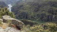 Duero National Park [IBR125164165]