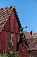 Sports wood felling during forest day in the Hohenloher open-air museum, springboard, wood felling, axe, footboard, Wackershofen, Schwäbisch Hall, Hohenlohe, Germany [IBR125164214]