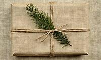 Rustic gift wrapped in brown kraft paper with twine and a sprig of green fir, set against a soft beige background. AI generated [IBR125167424]