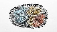Inked fingerprint full-frame macro with translucent color-coded quality annotation regions, blue for high quality, amber for moderate, red-orange for degraded ridges, forensic AI training dataset concept, studio shot, AI generated [IBR125167451]