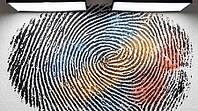 Inked fingerprint full-frame macro with translucent color-coded quality annotation regions, blue for high quality, amber for moderate, red-orange for degraded ridges, forensic AI training dataset concept, studio shot, AI generated [IBR125167453]