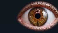 Human eye iris extreme close-up, amber-hazel trabecular pattern with infrared capture ring reflected in cornea, biometric iris recognition enrollment concept, dark charcoal background, studio shot, AI generated [IBR125167458]