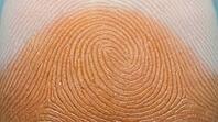 Human fingertip pressed against glass surface, extreme macro view from below, full-frame friction ridge fingerprint texture, biometric identity and forensic science concept, studio shot, AI generated [IBR125167459]