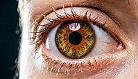 Human eye iris extreme close-up, amber-hazel trabecular pattern with infrared capture ring reflected in cornea, biometric iris recognition enrollment concept, dark charcoal background, studio shot, AI generated [IBR125167462]