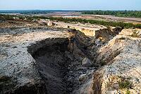 2017, Brandenburg, Germany, Mainzer Land, Nabu, Nabu Project, national natural heritage, Grünhaus natural paradise, post-mining landscape, Grünhaus [IBR125173392]