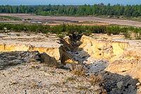 2017, Brandenburg, Germany, Mainzer Land, Nabu, Nabu Project, national natural heritage, Grünhaus natural paradise, post-mining landscape, Grünhaus [IBR125173393]