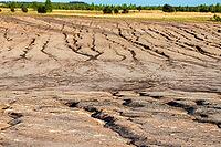2015, Brandenburg, Germany, Mainzer Land, Nabu, Nabu project, national natural heritage, natural paradise Grünhaus, post-mining landscape, cultivated landscape, erosion, green house, high size, portrait format, cultural landscape, landscape, landscape [IBR125173398]