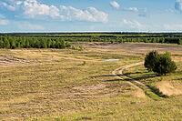 2015, Brandenburg, Germany, Mainzer Land, Nabu, Nabu Project, national natural heritage, Grünhaus natural paradise, post-mining landscape, cultivated landscape, Grünhaus, cultural landscape, landscape, landscape [IBR125173399]