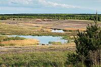 2015, Brandenburg, Germany, Mainzer Land, Nabu, Nabu project, national natural heritage, natural paradise Grünhaus, post-mining landscape, cultivated landscape, erosion, green house, high size, portrait format, cultural landscape, landscape, landscape [IBR125173401]