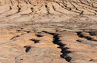 2015, Brandenburg, Germany, Mainzer Land, Nabu, Nabu project, national natural heritage, natural paradise Grünhaus, post-mining landscape, cultivated landscape, erosion, green house, high size, portrait format, cultural landscape, landscape, landscape [IBR125173402]