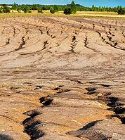 2015, Brandenburg, Germany, Mainzer Land, Nabu, Nabu project, national natural heritage, natural paradise Grünhaus, post-mining landscape, cultivated landscape, erosion, green house, high size, portrait format, cultural landscape, landscape, landscape [IBR125173414]