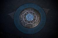 Blooming rose, plaque in the ground in honor of Princess Diana, circular route Diana Princess of Wales Memorial Walk, Kensington Gardens, Park, Kensington, City of Westminster, London, England, Great Britain, Great Britain [IBR125173432]