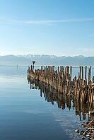 Wooden walkways on Lake Constance with a view of the Alps, moated castle, Bavaria, Germany [IBR125173455]
