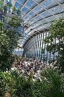 Sky Gardens with restaurants and viewing platform in 20 Fenchurch Street skyscraper, designed by Uruguayan architect Rafael Viñoly, London, England, Great Britain, Great Britain [IBR125177951]