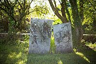 Tombstones, graves, trees, flooded with light, cemetery, parish church, St Just in Penwith, Cornwall, England, Great Britain, Great Britain [IBR125177956]