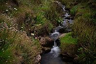 Stream, stream, long exposure, motion effect, Cot Valley Beach Porth Nanven, beach, coast, St Just in Penwith, Cornwall, England, Great Britain, Great Britain [IBR125177980]