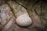 Stones, pebbles, pebbles, Cot Valley Beach, Porth Nanven, also beach of dinosaur eggs, coast, St Just in Penwith, Cornwall, England, Great Britain, Great Britain [IBR125177983]