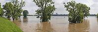 Hochwasser am Rhein, Hahinter Cologne-Mülheim, Cologne, North Rhine-Westphalia, Germany [IBR125177999]