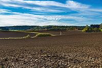Autumn fields ordered for winter [IBR125180299]