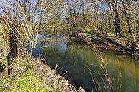 View from the Red Main towards its confluence with the White Main (in the foreground on the right) [IBR125180304]