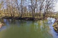 The source rivers of the Main at the union with the Main in spring [IBR125180305]