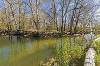 The confluence of the White Main (on the left) and the Red Main to form the River Main [IBR125180307]