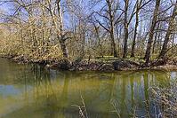 The confluence of the Red Main (on the right) and the White Main near Melkendorf [IBR125180314]