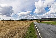 Harvested cornfield with straw rolls [IBR125180331]