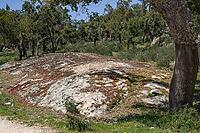 Cork oaks between huge, archaic rocks [IBR125180357]