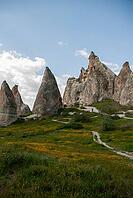 Scenic Cappadocia valley in Turkey featuring fairy chimneys, soft sunlight, rugged formations, and greenery in Turkey [IBR125180373]