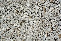 Stone surface texture unique pattern as background rock texture [IBR125180377]