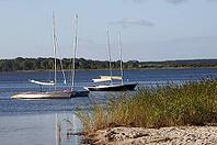 The 4 small boats are bobbing close together in the smooth water of the bay. The wonderful natural sandy beach in the foreground is bordered by tall reed grass [IBR125185823]
