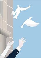 Two white doves soar into the sky in front of an old church. The hands of the bride and groom wave after the doves. A symbol of wedding, love, good luck and a lucky charm [IBR125185828]