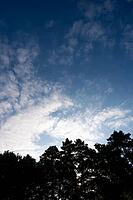 Tree silhouettes under a blue sky with scattered white clouds, weather photo, a mix of sun and clouds above 27798 Hude, Oldenburg district, Germany [IBR125185836]