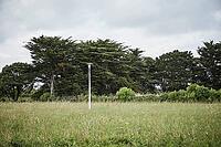 44490 Le Croisic, Brittany, France, Lonely lamppost in the middle of a meadow [IBR125185860]