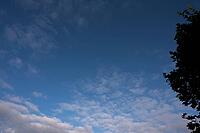 Blue sky with clouds and silhouette of a tree on the side, weather photo, a mix of sun and clouds above 27798 Hude, Oldenburg district, Germany [IBR125185861]
